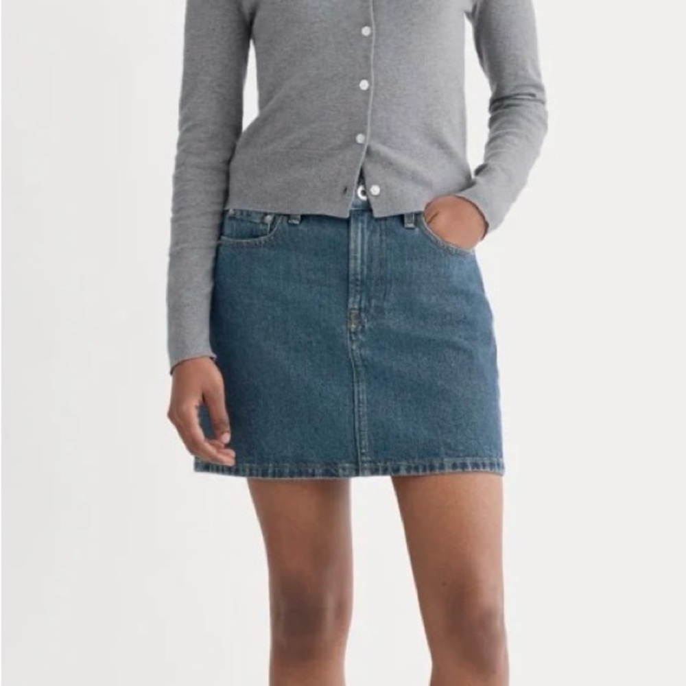 Everlane Blue Denim Mini Skirt